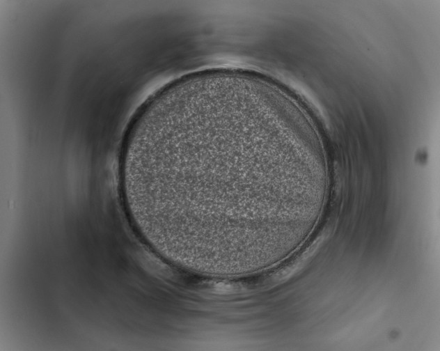 X0000102481318200808221657