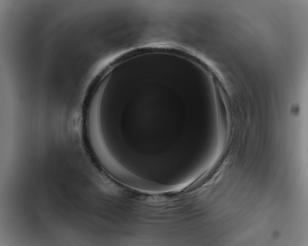 X0000102481319200808221657