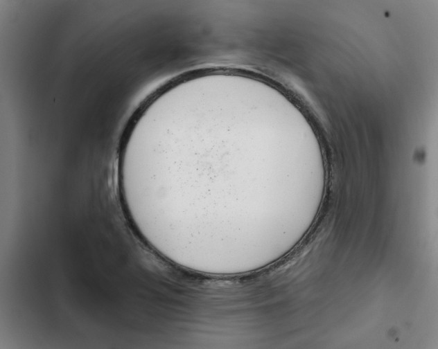 X0000102481320200808221657