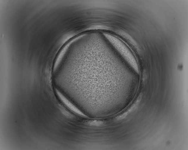 X0000102481321200808221657