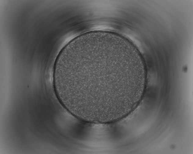 X0000102481322200808221657