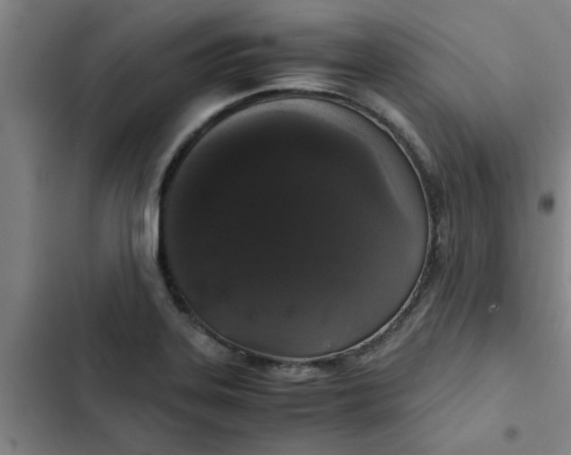 X0000102481323200808221657