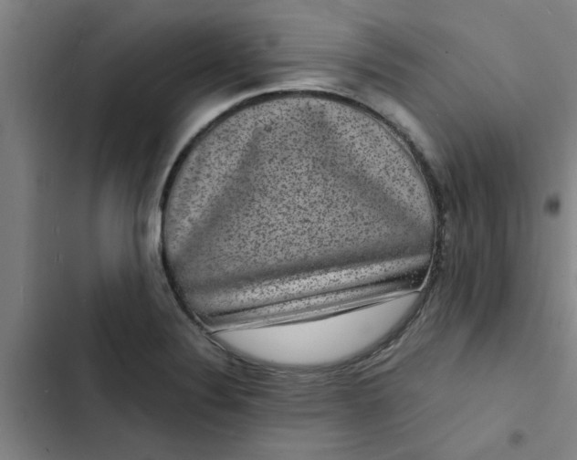 X0000102481324200808221657