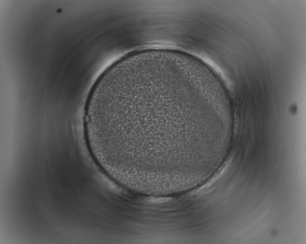 X0000102481325200808221657