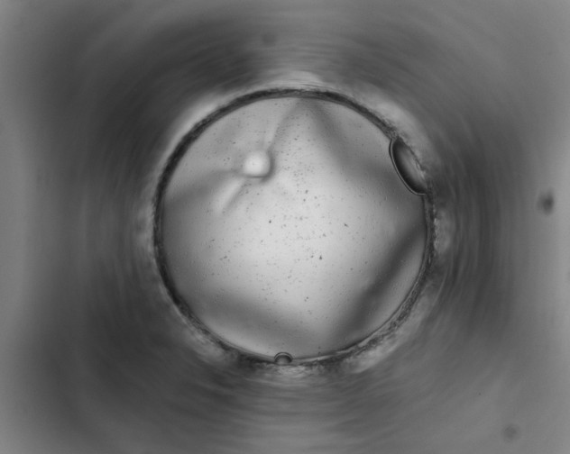 X0000102481326200808221657