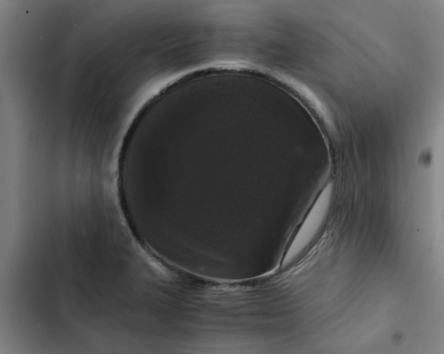 X0000102481327200808221657