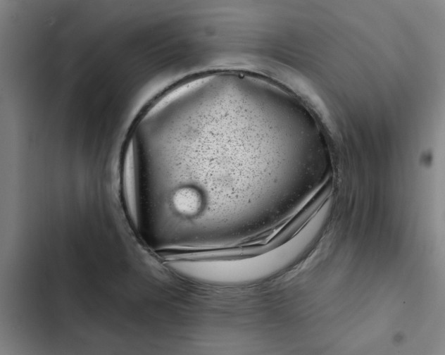 X0000102481328200808221657