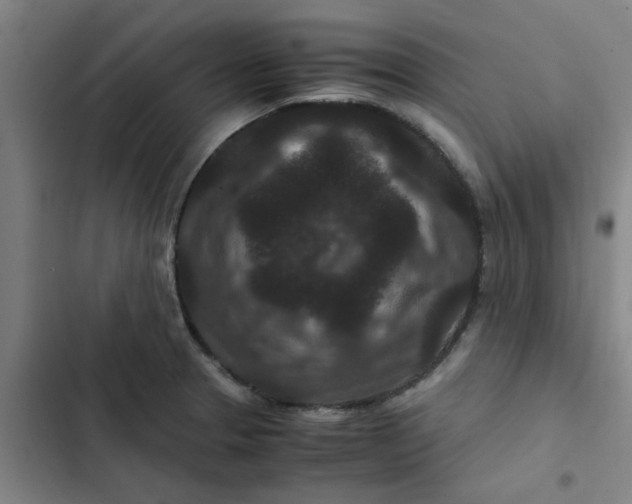 X0000102481329200808221657