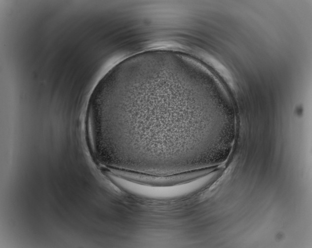 X0000102481330200808221657