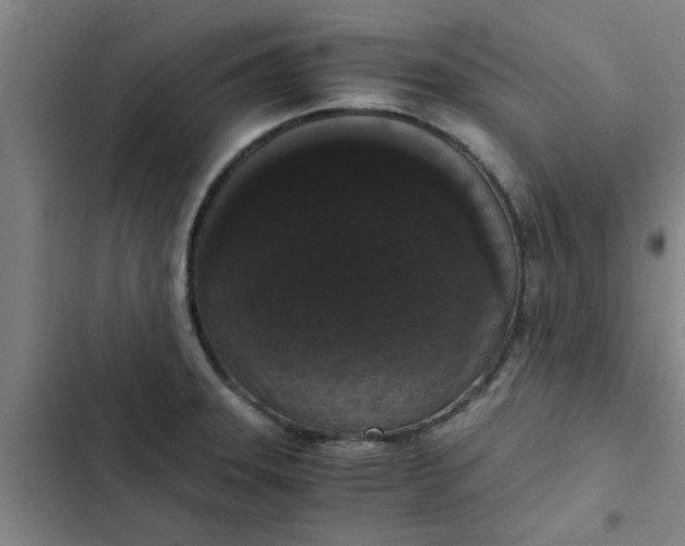 X0000102481331200808221658