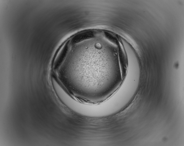 X0000102481332200808221658