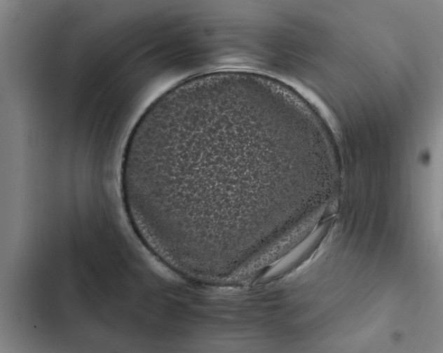 X0000102481333200808221658