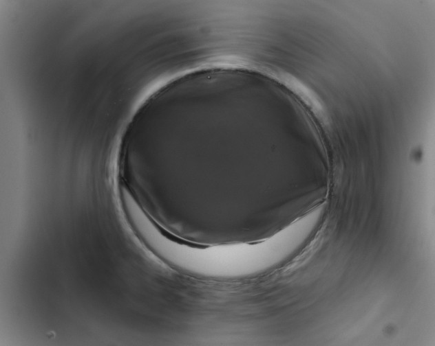 X0000102481334200808221658