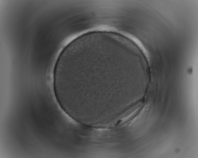 X0000102481335200808221658