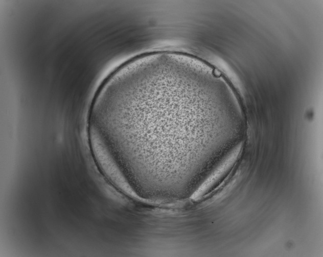 X0000102481336200808221658