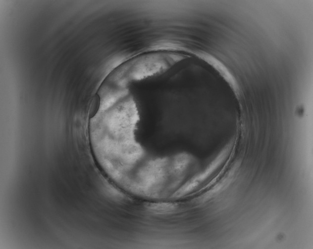 X0000102481337200808221658