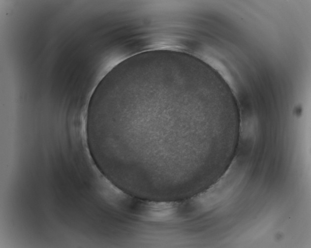 X0000102481338200808221658