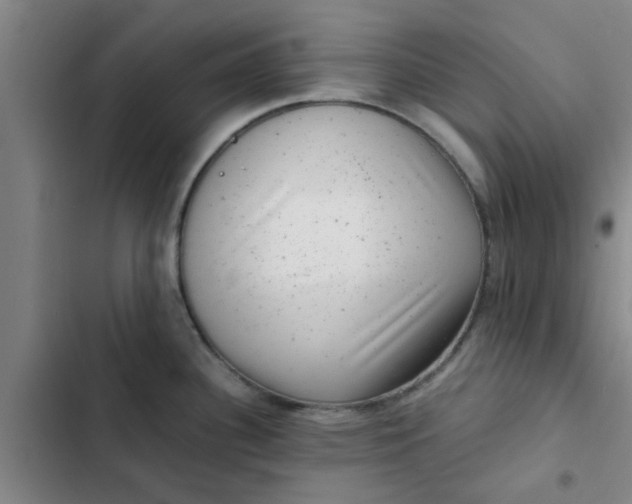 X0000102481340200808221658