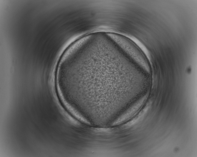 X0000102481341200808221658