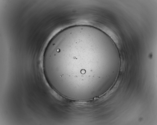 X0000102481342200808221658