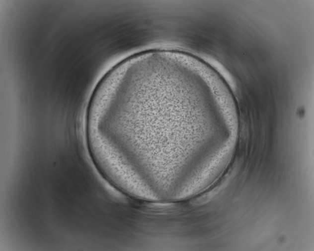 X0000102481343200808221658