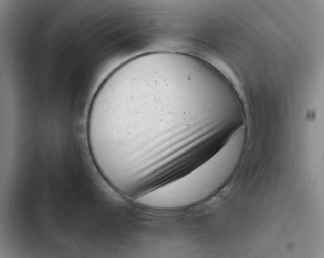 X0000102481344200808221658