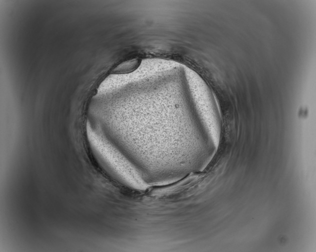 X0000102481345200808221657