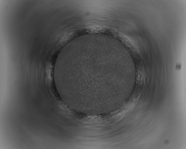 X0000102481346200808221657