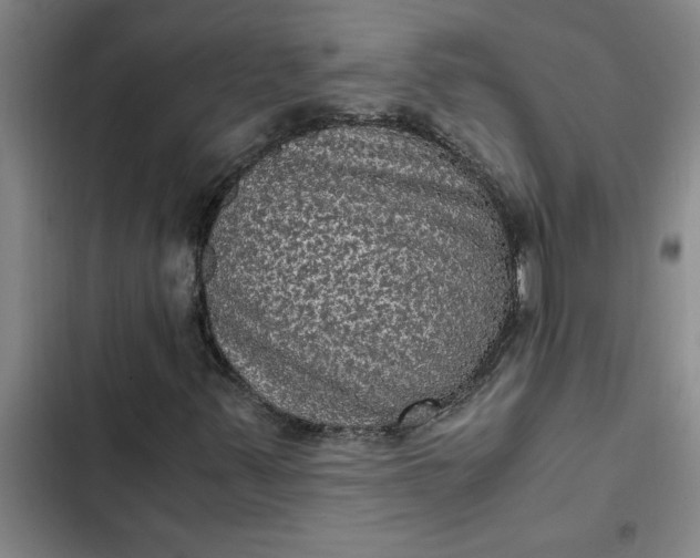 X0000102481347200808221657