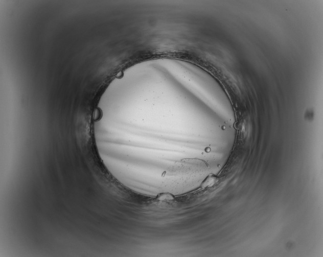 X0000102481348200808221657