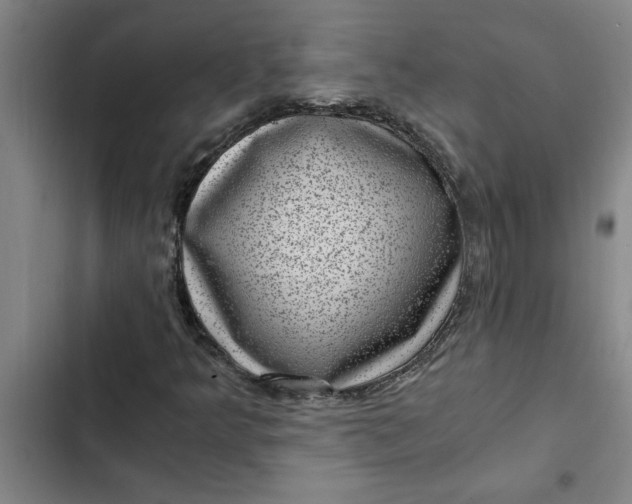 X0000102481349200808221657