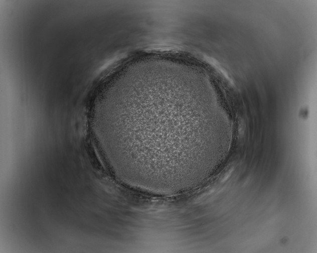 X0000102481350200808221657