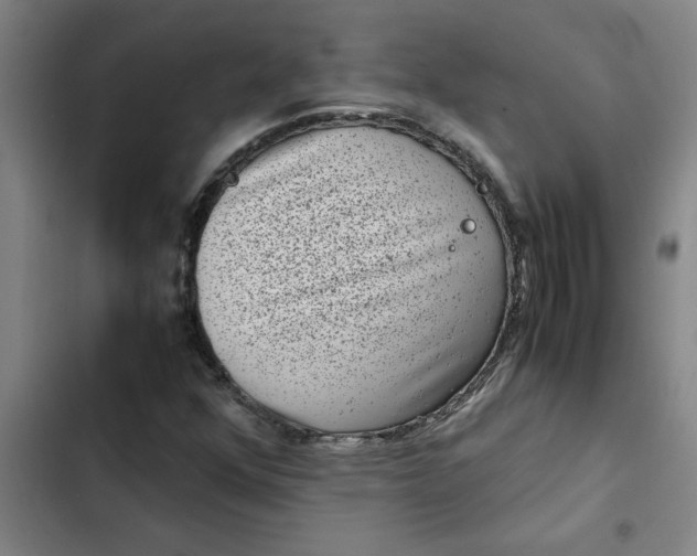 X0000102481352200808221657