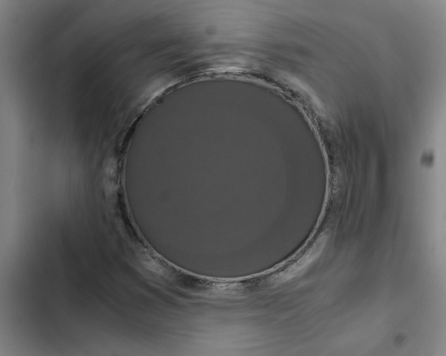 X0000102481353200808221657