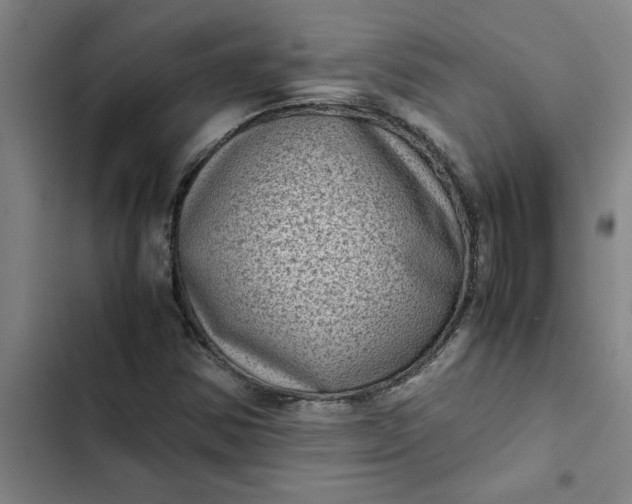 X0000102481354200808221657