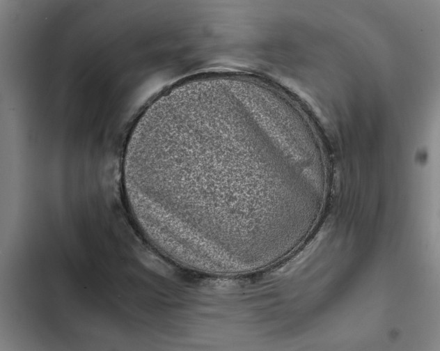 X0000102481355200808221657