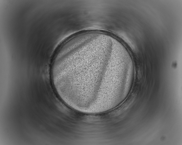 X0000102481356200808221657