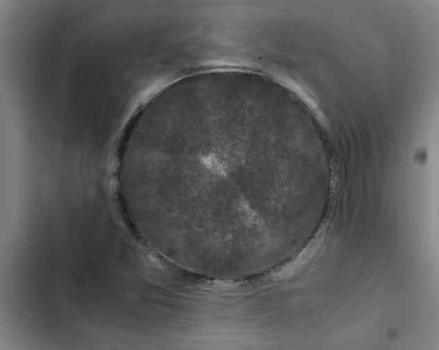 X0000102481357200808221657