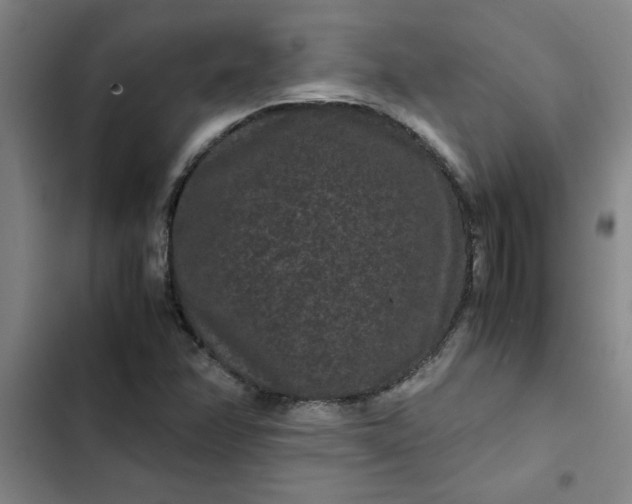 X0000102481358200808221657