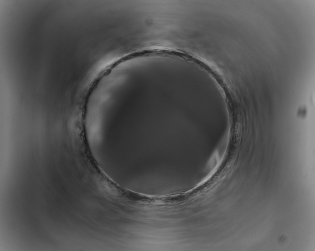 X0000102481359200808221657