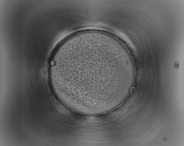 X0000102481360200808221657