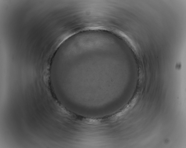 X0000102481361200808221657