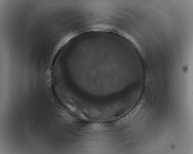 X0000102481362200808221657