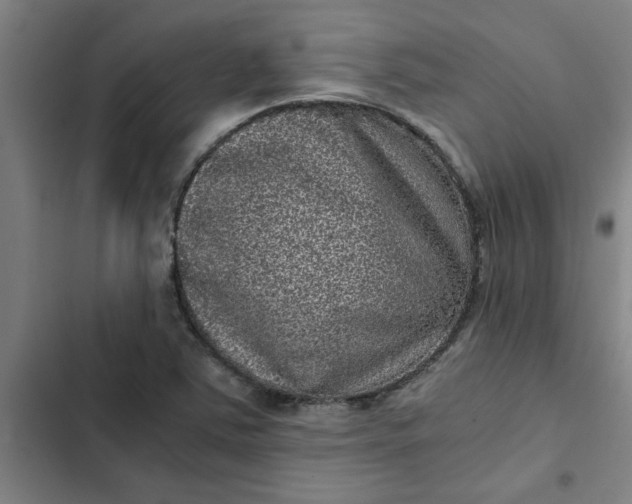 X0000102481363200808221657