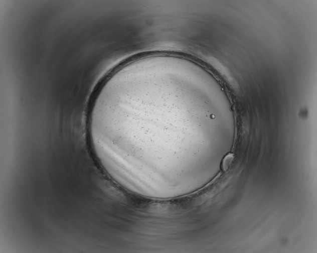 X0000102481364200808221657