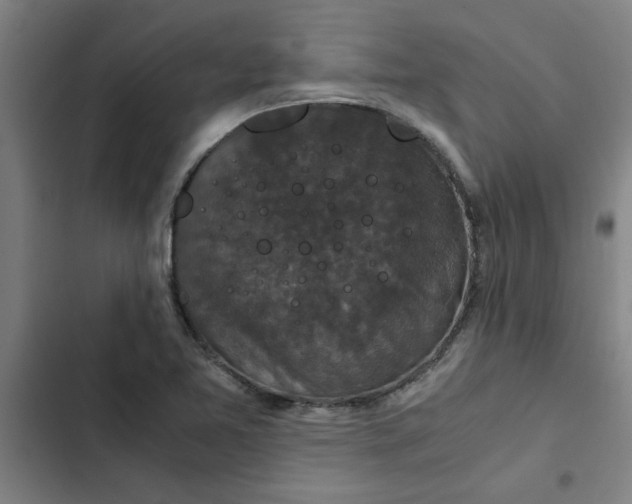 X0000102481365200808221657