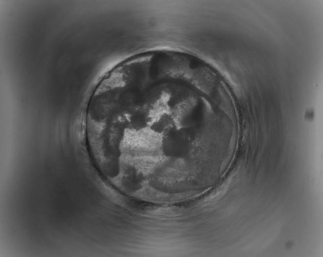 X0000102481367200808221657