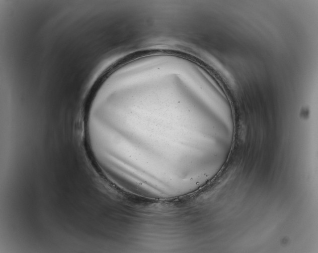 X0000102481368200808221657