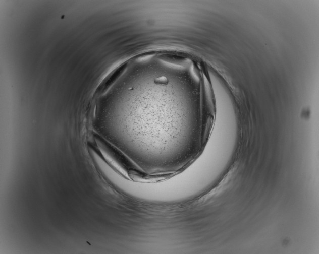 X0000102481369200808221657