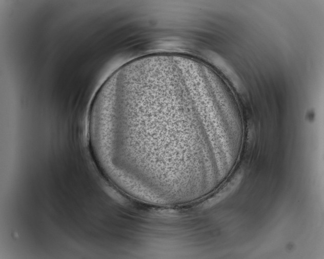 X0000102481370200808221657